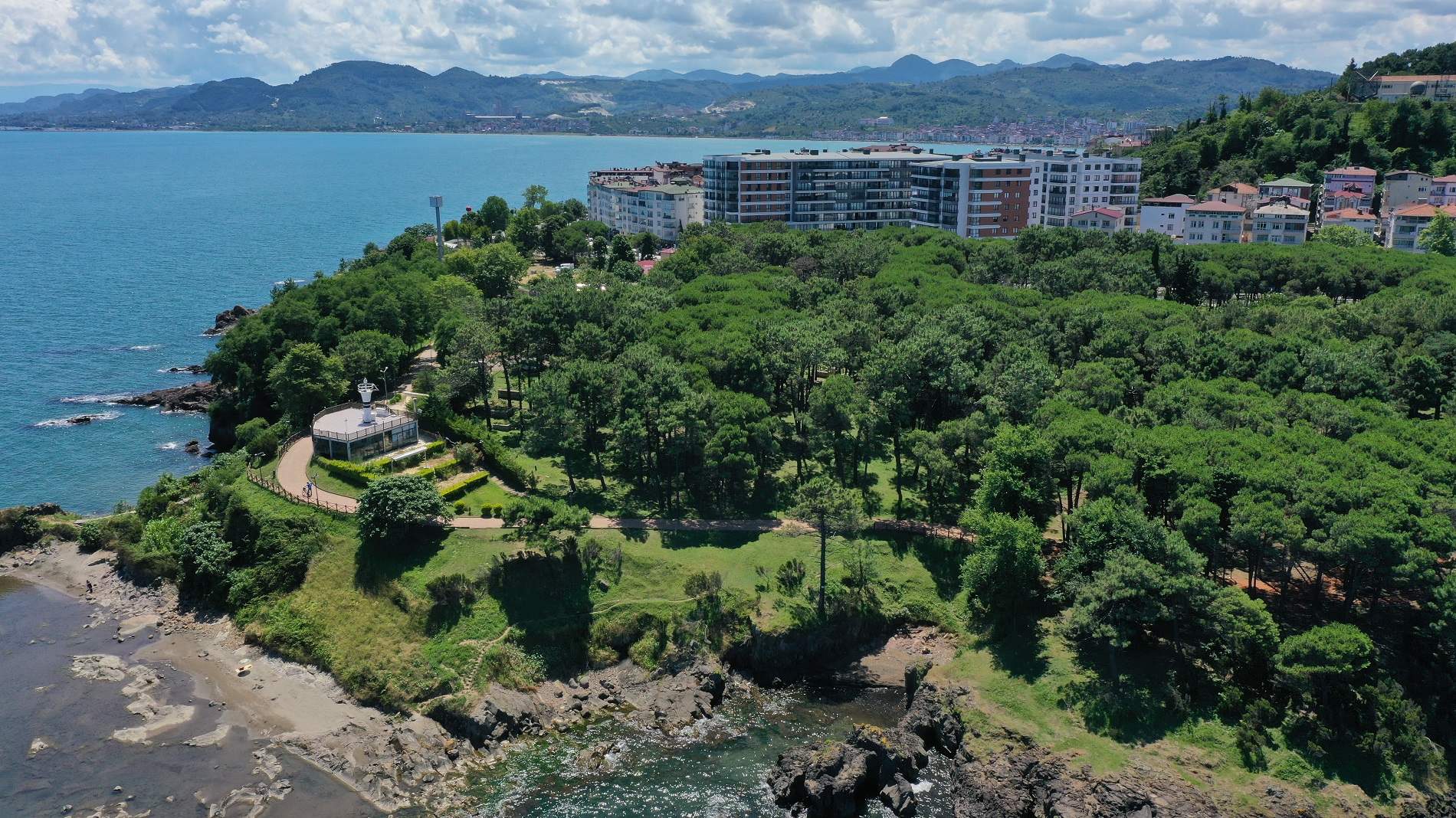 ÇAMLIK VATANDAŞLARIN GÖZDESİ OLDU